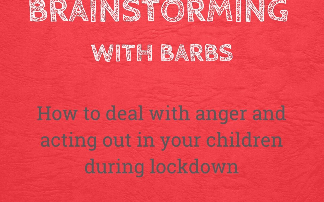Brainstorming With Barbs in Lockdown – Dealing With Anger
