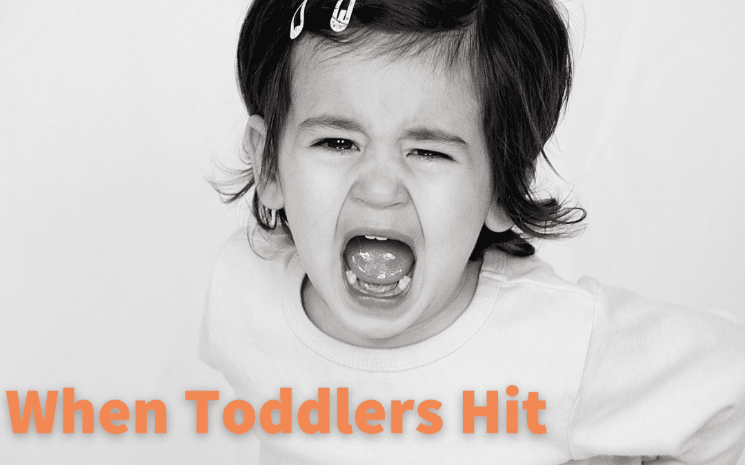 GUEST BLOG: When Toddlers Hit by Charles Fay